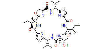 Prepatellamide A